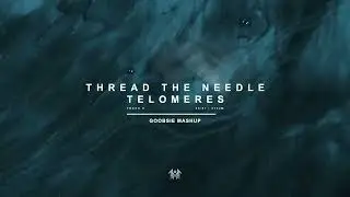 Sleep Token -  Thread The Needle x Telomeres (Goobsie Mashup)