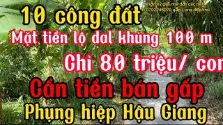 Cần tiền bán gấp 10 công chỉ 80 triệu/ công, mặt tiền lộ dal khủng hơn 100 m, phụng hiệp Hậu Giang