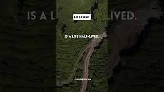 Fearful Life is Half Lived #short #psychologyfact #subscribe