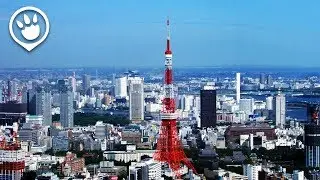 9 Easy Day Trips to Take from Tokyo
