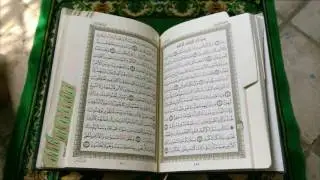 سورة الجاثية للقارئ العراقي إبراهيم الشمري