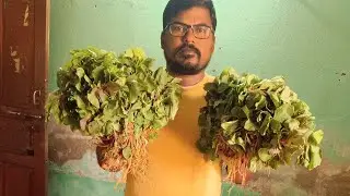 cholai ka saag banana sikhe