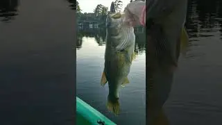 caught my PB bass!