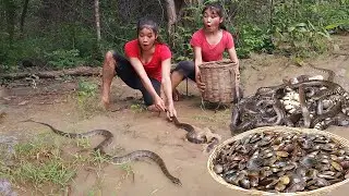 Survival in rainforest, catch and cook snake for jungle food, Shell spicy cooking so delicious food