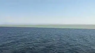 Darya-e-neel