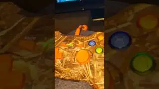 How to set controls for dolphin  emulator running hyperspin