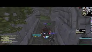 DF Beta / Classic
