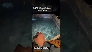 WARM WHITE VS COOL WHITE - Fenix CL27R #flashlight #shortvideo #shortsofyoutube #short #shortsfeed