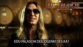 EDU FALASCHI（エドゥ・ファラスキ）/ 「Spread your fire」 from 『TEMPLE OF SHADOWS IN CONCERT』（2020.08.05 ON SALE）