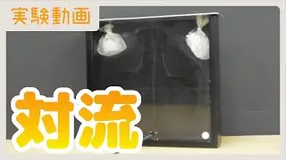 【実験動画】対流