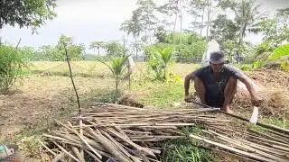 Village Farmers Improving Soil Fertility #RuralAgriculture #TraditionalFarming
