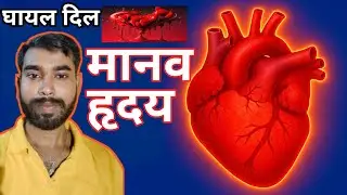मानव हृदय की संरचना और कार्य | Human Heart Structure and Function | Class X Human Heart ❤️💜