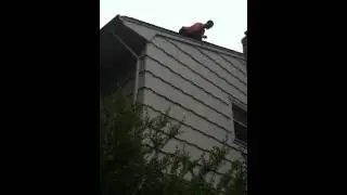 PestPlus- Carpenter Bees Attack Black Male