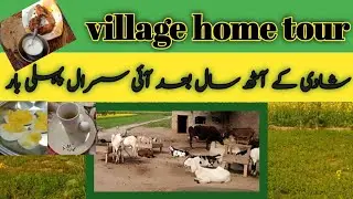 Daily Vlog | Daily Vlog in Pakistan rural life | village Home Tour With me #villagelife