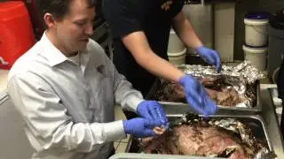 Memphis Meats