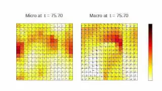 Vicsek particle dynamics versus Vicsek Hydrodynamics