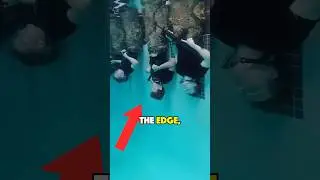 Wild Underwater Military Training