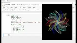 Play with  python turtle Graphics