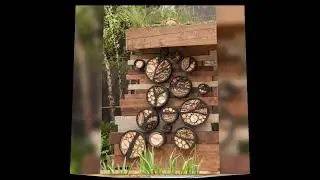 wood slice crafts ideas #shorts #woodencrafts #woodslicecrafts