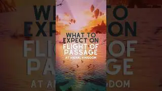 What to expect on Disney's most emotional attraction #flightofpassage