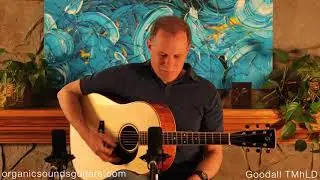 Goodall TMhLD - Adirondack/Flamed Mahogany (2018)
