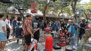 Explore Pasar PASTY Jogja, Zona Hewan dan Ikan