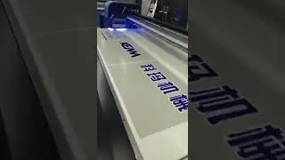 Wan Lida customers printing videos.  (18)
