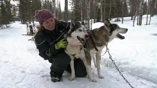 Koiravaljakot Pyhä-Luostolla