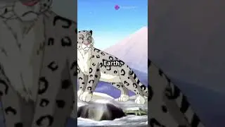 Snow Leopards: The Elusive Ghosts of the Himalaya#snowleopaard