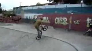 Andy Perry tailwhip