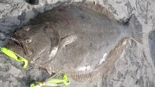 Inlet Flounder Fishing - 6-pound Fluke on the Rocks