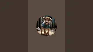 Poor Puppy Dream   is live!