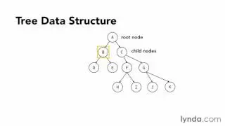 Data Structure ( Introduction to tree data structures)