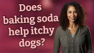 Does baking soda help itchy dogs?