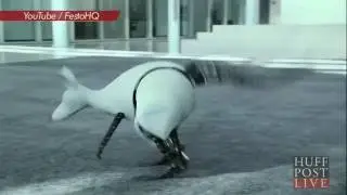 Scientists Invent Hopping Robotic Kangaroo