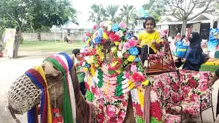 Dangerous Camel Riding😯Aur Village Mein Shadi😍