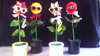 Rock 'N Flowers (dancing flowers)