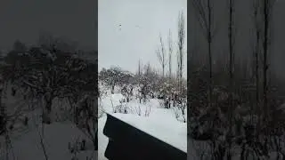 Hello everyone welcome to my live stream enjoy in snowfall 😎