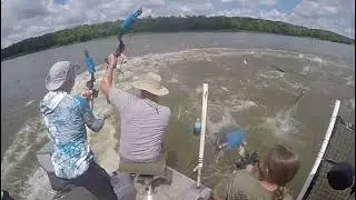 bow fishing jumping carp