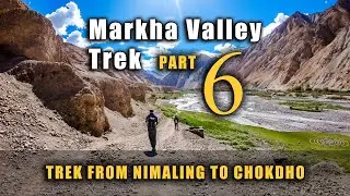 The Best Day of Ladakh Markha Valley Trek | Part 6/6 | Nimaling to Chokdho - Day 5 Trek