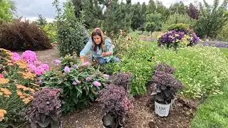 Watering the City Pots, Planting Sedum & (The BEST) Chicken Caprese Pasta! 💦🌿🤤 // Garden Answer