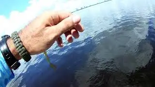 JACK got away on ultralight tackle 