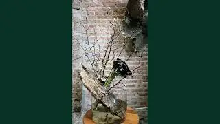 Blooming Branches