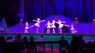 Christmas On Ice 2-3 (Busch Gardens, Sat. 11-28-2020)