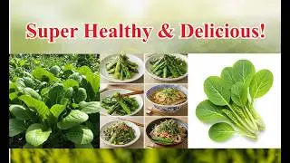 Komatsuna Recipes for a Healthier Life