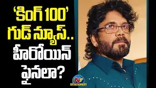 Good News for #KING100 Movie.. Heroine Fix ? | Nagarjuna | RA Karthik | NTV ENT