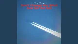 Don't Change the Wind Just Set the Sail (Extended Version)