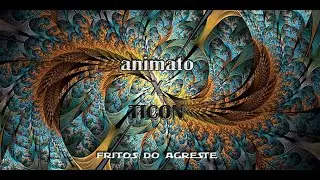 animato x ticon