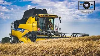 Moisson 2019 | New holland cr8.80 revelation | Fendt