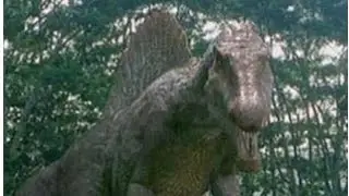 Ember vs snock